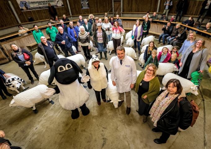 5. Illuminated Sheep Community Auction Credit North News And Pictures