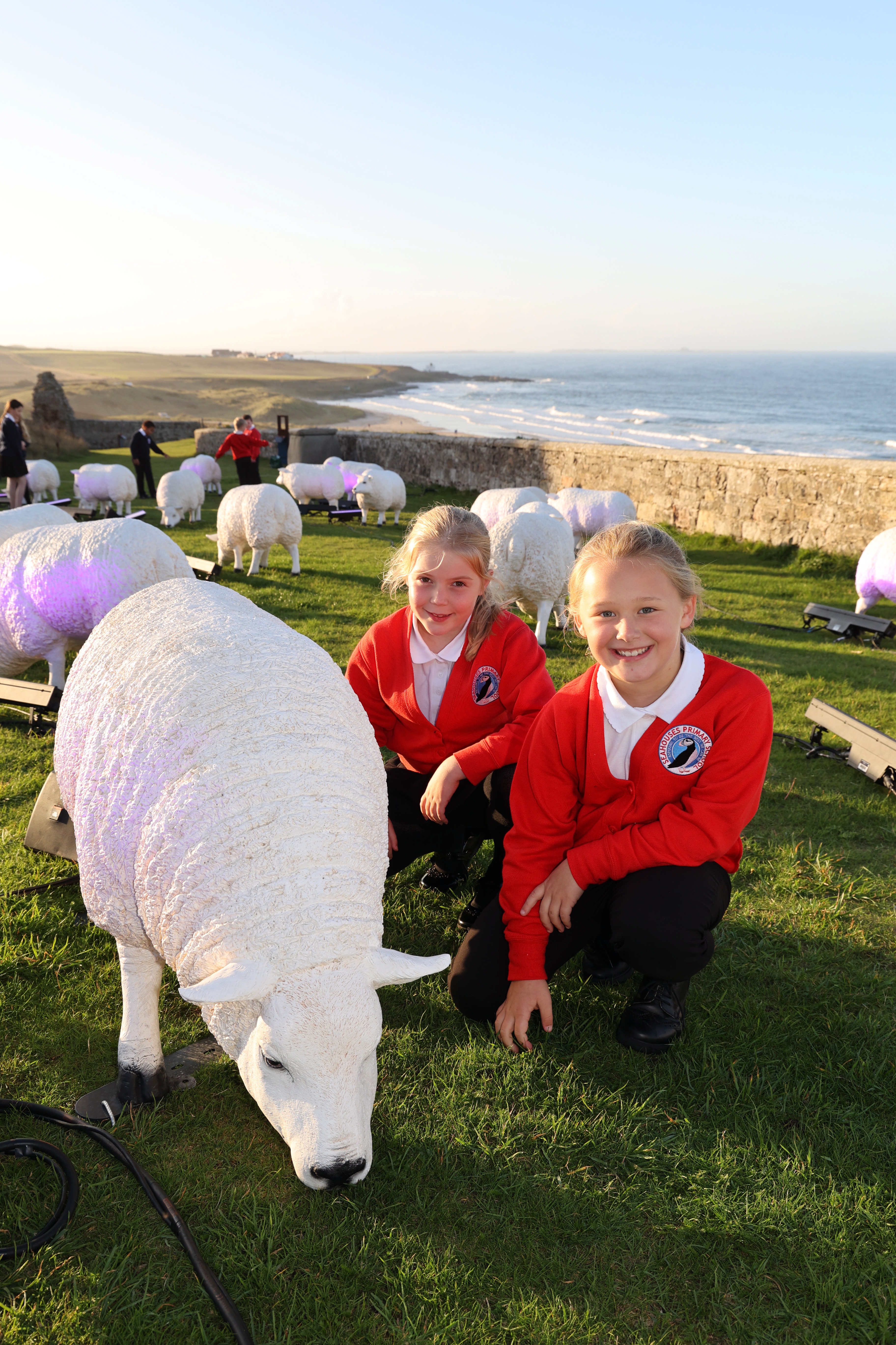 10. Pupils From Seahouses Primary School Will Adopt One Of The Sheep For A County Wide Art Trail