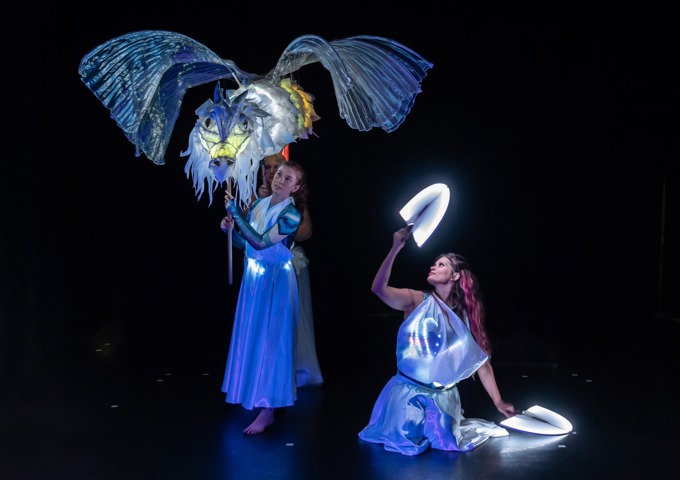 516635416 10161445654593587 3441420615351731737 N