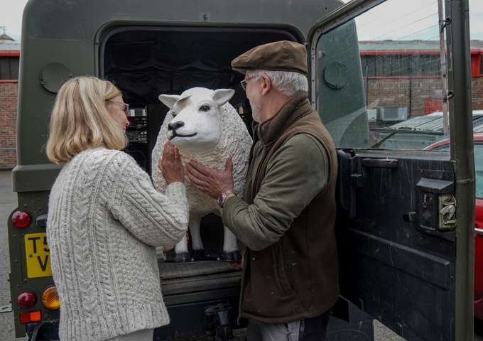 9. Sheep Being Adopted From Hexham Mart For The Free Art Trail Photo Credit North News And Pictures