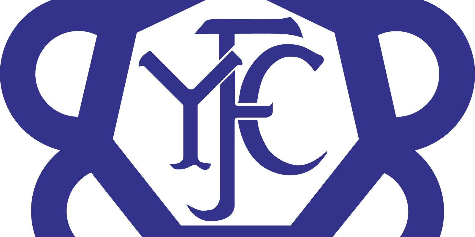 YFC Blue Daisy Extra Large (002) (1)