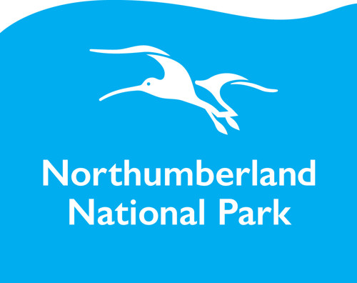 RS16341 NNP Logo CYAN 2022 Hpr