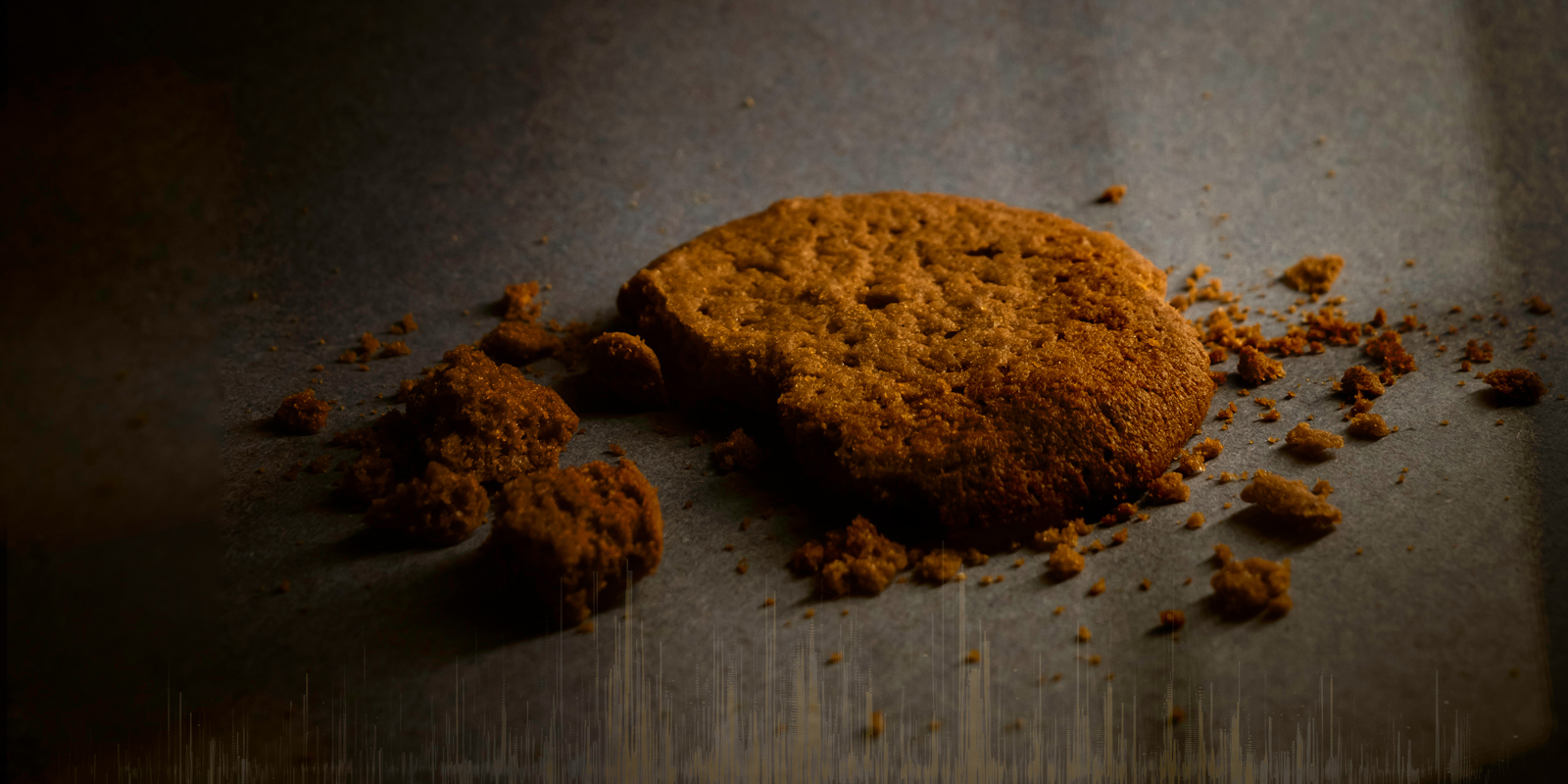 HB Notext2 Landscape 3X2 Copy