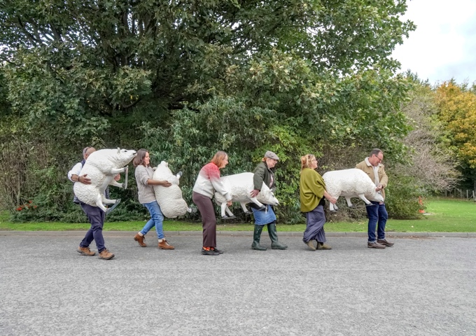 6. People Collecting Their Sheep From Hexham Mart For The Free Illuminated Sheep Art Trail Photo Credit North News And Pictures