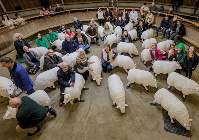 2. Hexham Mart Auction Local Communities Collecting Sheep For The Art Trail Credit North News And Pictures