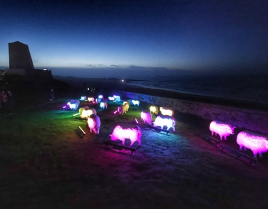 5. Illuminated Sheep At Bamburgh Castle